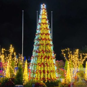 沖縄こどもの国の年末年始クリスマスファンタジーのイルミネーションの楽しみ方をレビュー！